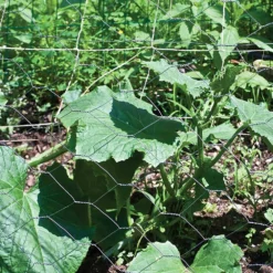 Garden Zone Garden Craft Galvanized Poultry Hex Netting 2 In. -FENCING Sales 1008164 new 4