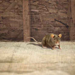 Garden Zone Garden Craft 1/8 In. Galvanized Hardware Cloth -FENCING Sales 7397344 new 4 1