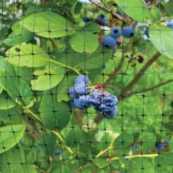 Garden Zone Black Deer Netting 84 In. X 100 Ft. -FENCING Sales 7397410 new 3