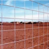 Ok Brand Cattle Fence Panel -FENCING Sales img10024519