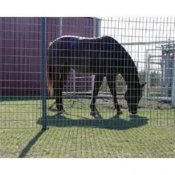 Ok Brand Horse Panel