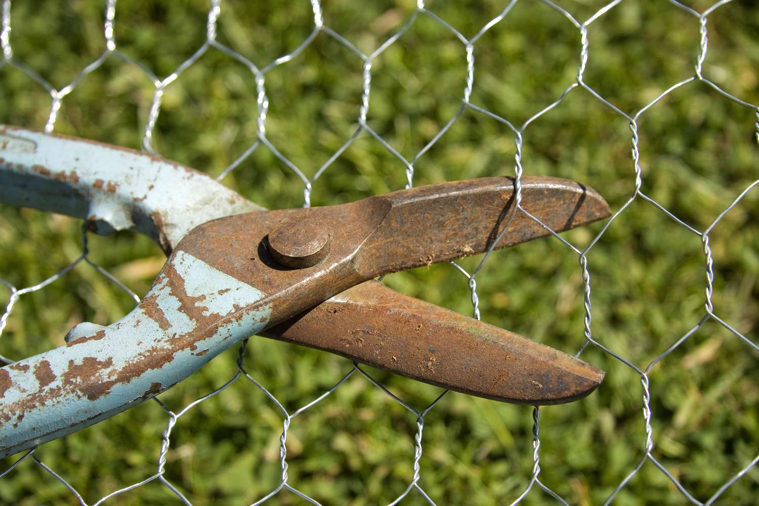 Fencing Sales Shop 11 Fencing Sales Shop -FENCING Sales a5